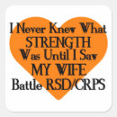 Search for rsd stickers Orange