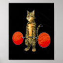 Search for gym goals posters Weight lifting