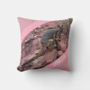 Search for rock cushions Pink