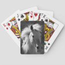 Search for black horse playing cards Photography