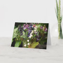 Search for lily of the valley birthday cards Bouquet