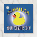 Search for cruising ducks Hiding