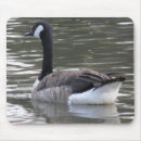 Search for goose mousepads Bird