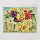 Search for pansy flower postcards Colourful
