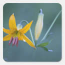 Search for pacific northwest stickers Floral