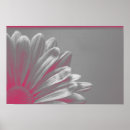 Search for black white silver posters Floral