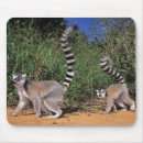 Search for conform mousepads Full length