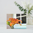 Search for tiger lily postcards Floral