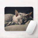 Search for hairless mousepads Feline
