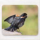 Search for singe mousepads Nature