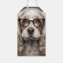 Search for american cocker spaniel Cute