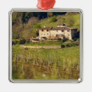 Search for tuscany christmas tree decorations Vineyard