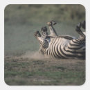 Search for reserves stickers Nature