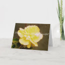 Search for roses birthday cards Yellow rose