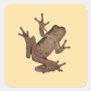 Search for ribbit stickers Nature