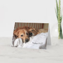 Search for golden retriever get well cards Sad