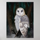 Search for snowy owls posters Winter wildlife