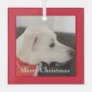 Search for labrador christmas tree decorations Puppy