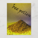 Search for bee image postcards Close up