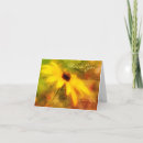 Search for susans cards Nature