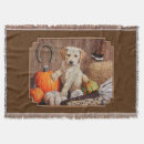Search for halloween dog blankets Autumn