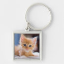 Search for blue eyes key rings Pets