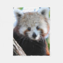 Search for red panda blankets Pandas