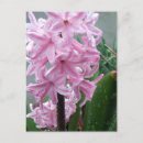 Search for spring rain postcards Flowers