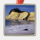 Search for oregon coast christmas tree decorations Nature