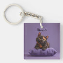 Search for tortoiseshell accessories Kitten