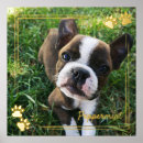 Search for dog owners art Pet photo