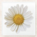 Search for daisy flower coasters Daisies