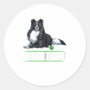 Search for collie dog stickers Border
