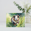 Search for cavy postcards Cute