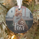 Search for plastic pet supplies Cats