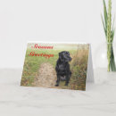 Search for black lab christmas cards Winter