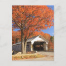 Search for oaks postcards Autumn