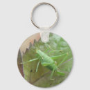Search for cricket key rings Bugs