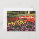 Search for tulip save the dates Garden