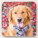 Search for scarf coasters Animal