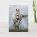 Search for galloping cards Horse