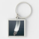 Search for lcs key rings High angle view