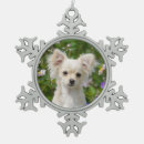 Search for long haired chihuahua christmas tree decorations Cute