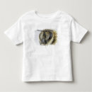 Search for honeybee tshirts Animals