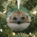 Search for hedgehog christmas tree decorations Animal