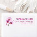 Search for orchid labels Illustration