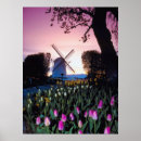 Search for dutch windmills posters Flowers