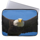 Search for eagles cases Predator