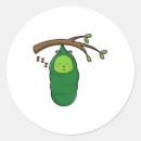 Search for caterpillars stickers Insects