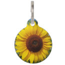 Search for sunflower pet tags Summer